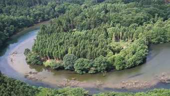 Germany's Wild Amazon (2010)