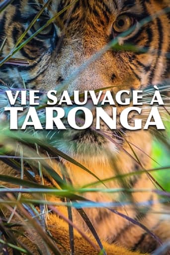 Vie sauvage à Taronga en streaming 