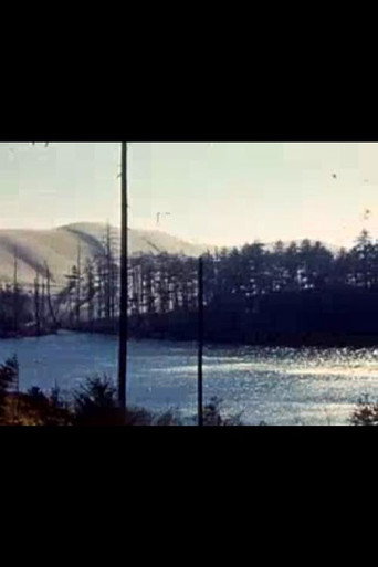 Frisco Fair / Pacific Northwest (1970)