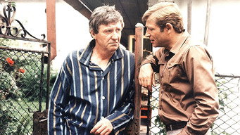 The Death of a Talented Cobbler (1983)