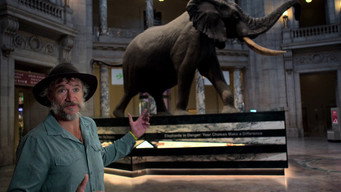 #12 Ghost Elephants