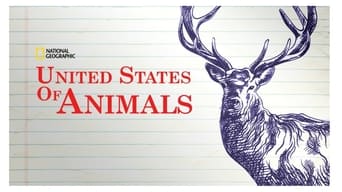 #1 United States of Animals