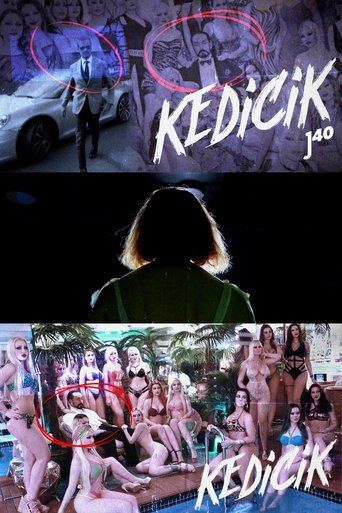 Poster for Kedicik