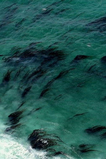 Visions of an Island poster 1