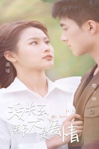 没关系，那不是爱情 poster