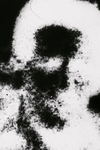 The Shifting Sands poster