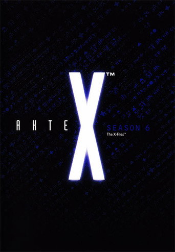 Staffel 6