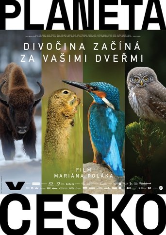 Wilder Than Wilderness (2018)