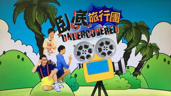 The Undercover Tour (2014- )