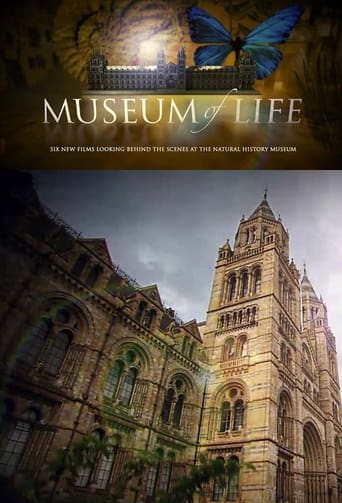 Poster of Museum of Life