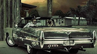 Galeria 2 - La Cura Para Todo Mal