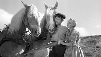 Husmandstøsen (1952)