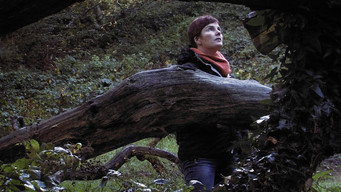 The Creeping Garden (2014)