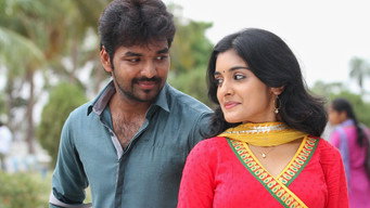 Naveena Saraswathi Sabatham (2013)