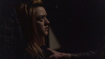 Galeria 3 - The Owners (Los propietarios)