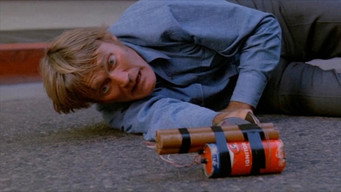 The Police Connection (1973)