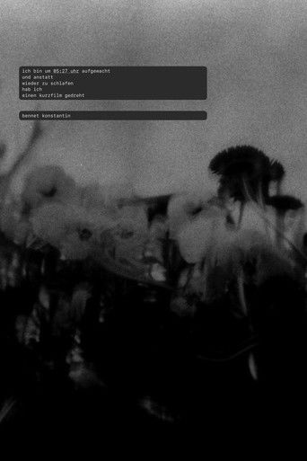 ich bin um 05:27 uhr aufgewacht und anstatt wieder zu schlafen hab ich einen kurzfilm gedreht poster