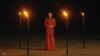 Episode 8 — Counter