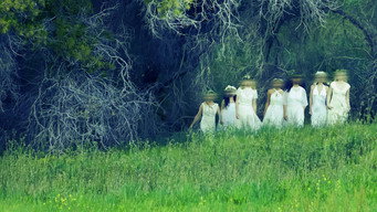 Pure (2019)