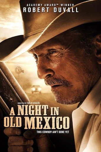 A Night in Old Mexico (2013) - poster