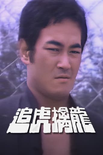 Poster of 追虎擒龍