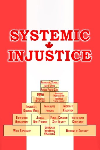 Systemic Injustice poster