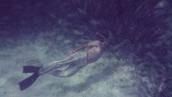 Cena 1 de Saved From The Waters