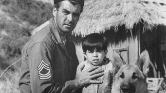 The Young and the Brave (1963)