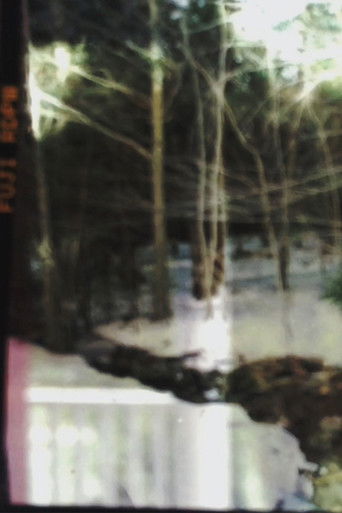 The Photoplay Obeys the Laws of the Mind (2021)