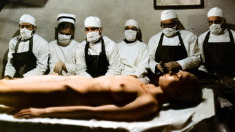 'Anna' i wampir (1982)