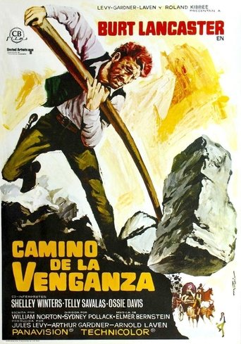 Poster of El camino de la venganza