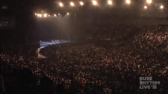 Buzz Rhythm (2015-2026)