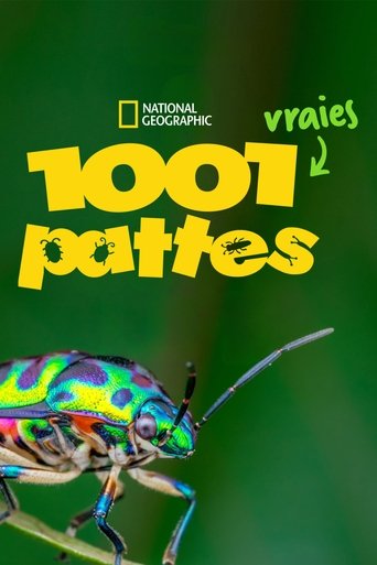 1001 vraies pattes en streaming 