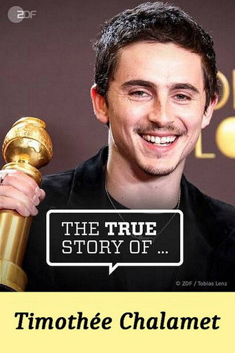 Affiche de The True Story of Timothée Chalamet