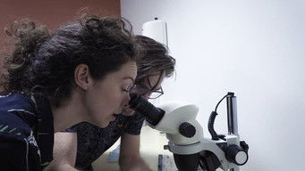 Aflevering 4 — Episode 4