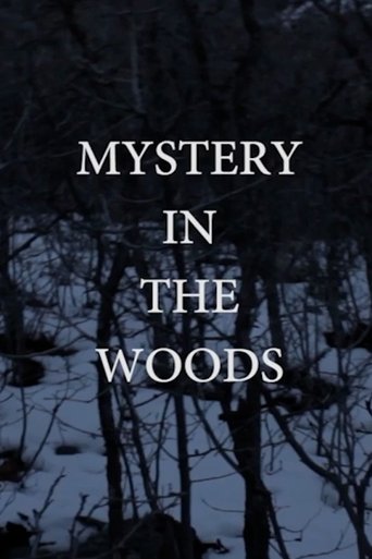 Poster of Mystery in the Woods