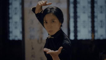Ip Man: Kung Fu Legend (2026)