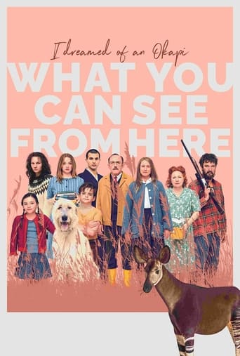 Poster of What You Can See from Here
