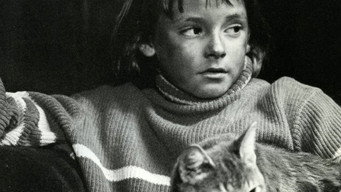 The Alley Cat (1985)