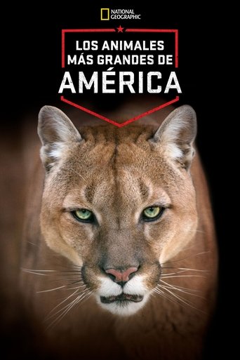 America's Greatest Animals