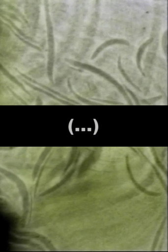 (...) (2001)