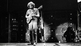 #8 The Grateful Dead