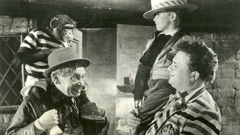 Davy (1958)