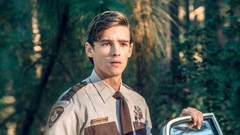 Galeria 3 - A Violent Separation