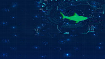 #5 Shark Below Zero