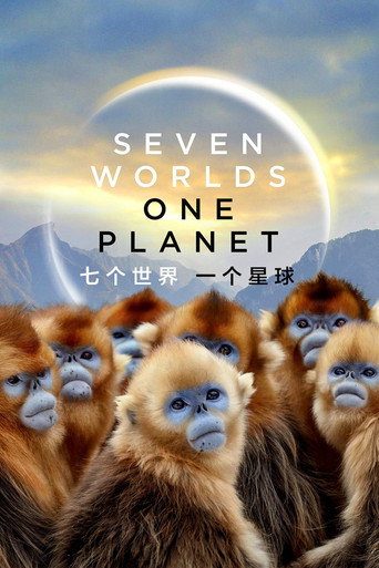 七个世界，一个星球 poster