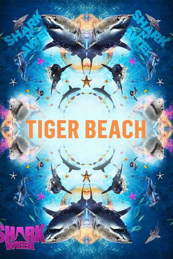 Tiger Shark Beach (1970)