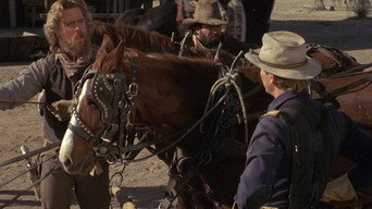#4 Stagecoach
