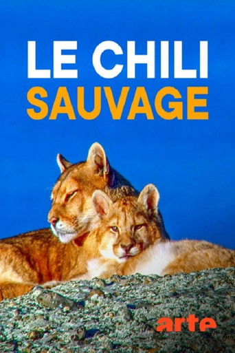 Le Chili sauvage poster