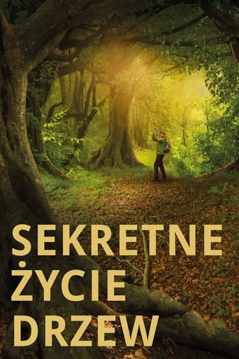 Sekretne życie drzew